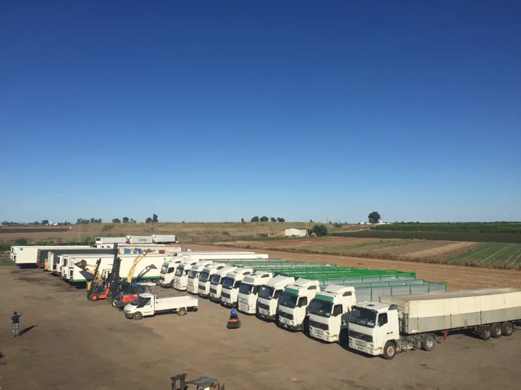 transporte seguro de maquinaria industrial